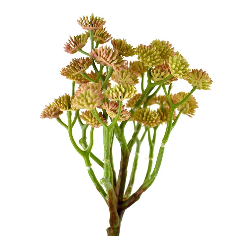 Artificial Bishop's Seed Plant Succulent, 10-Inch - Image 2
