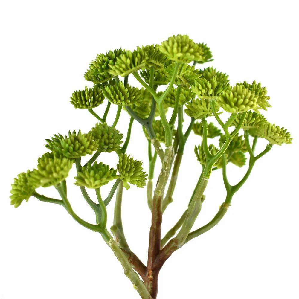 Artificial Bishop's Seed Plant Succulent, 10-Inch - Image 3