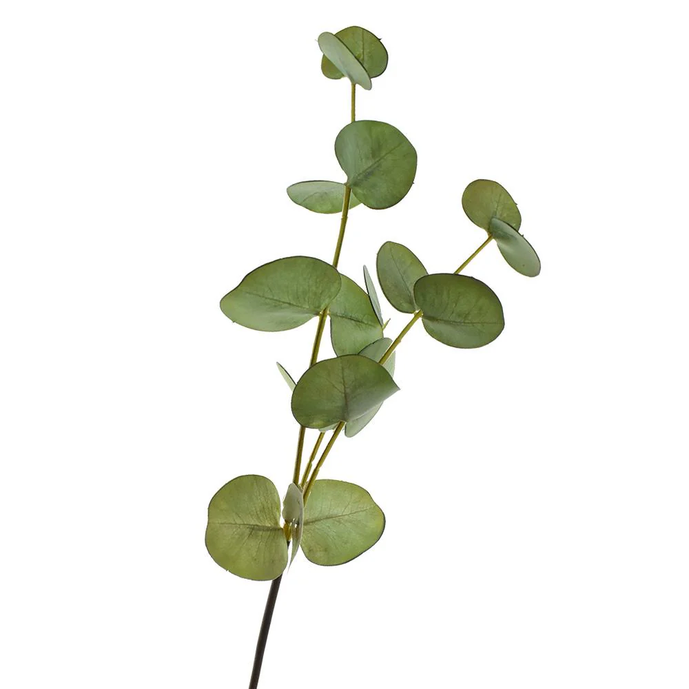Artificial Eucalyptus Spray, 18-Inch - Image 3