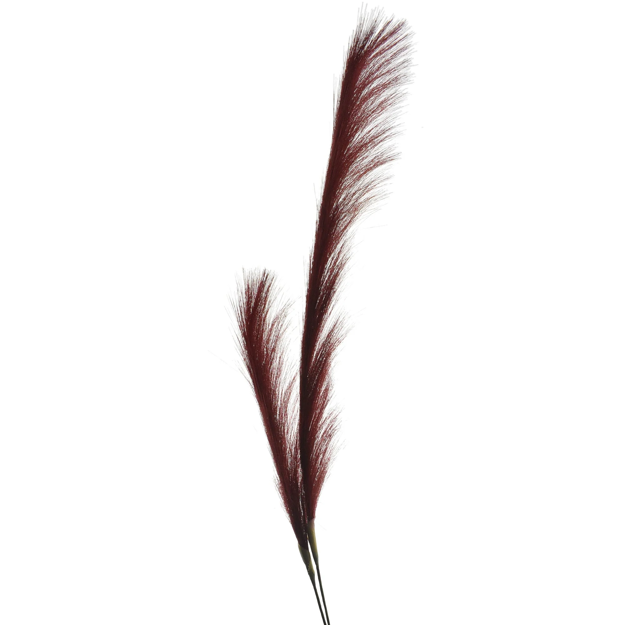 Artificial Pampas Grass Stem, 49-Inch - Image 2