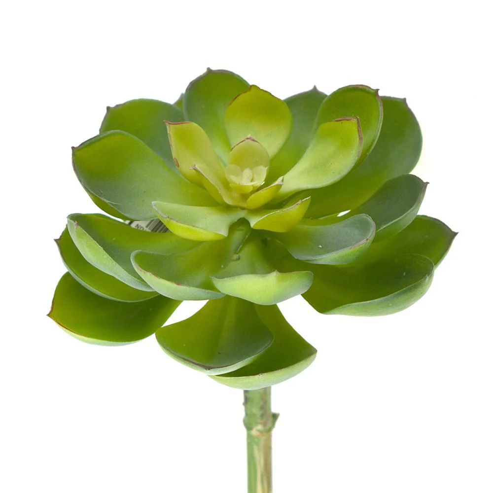 Artificial Spread Out Succulent, 7-Inch - Image 2