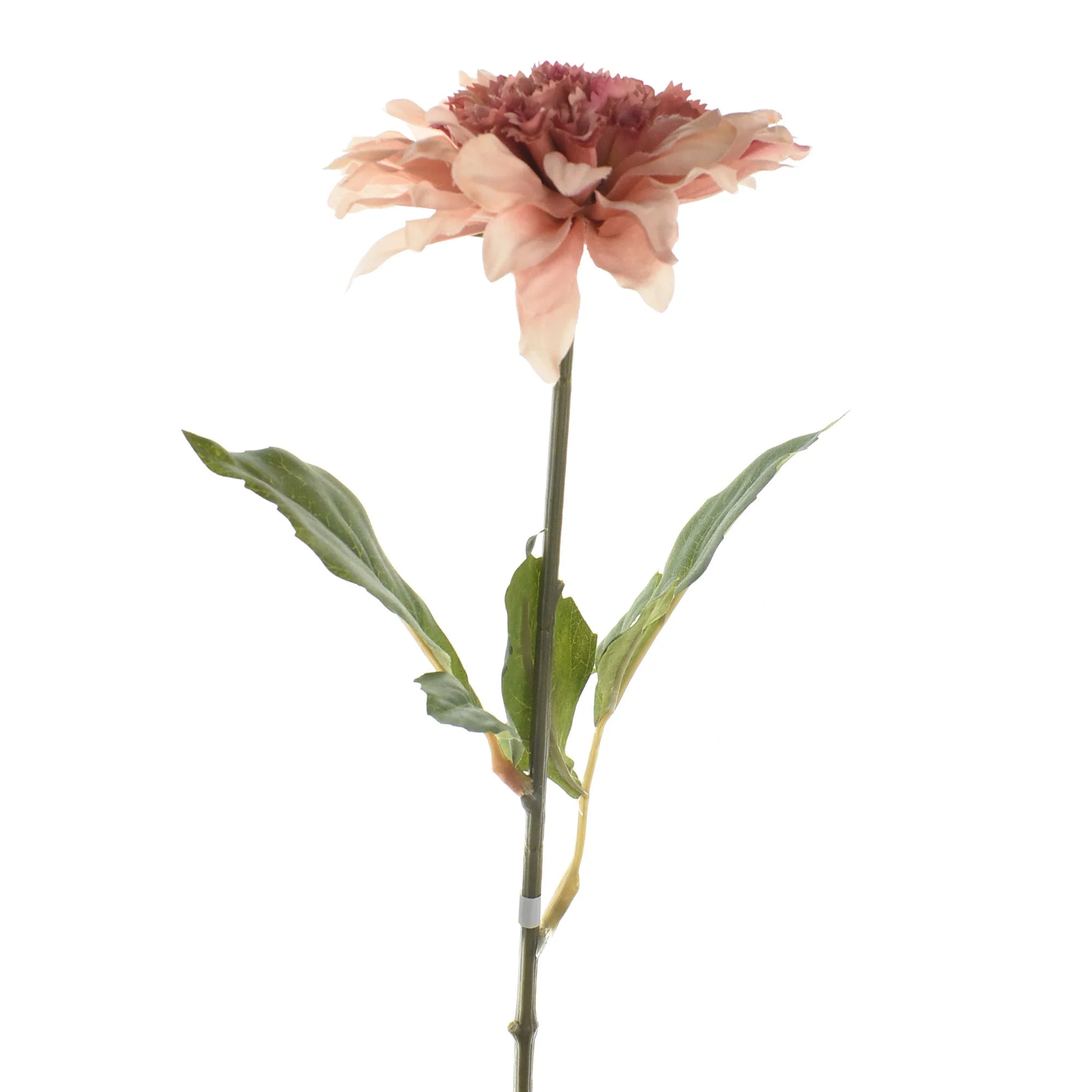 Artificial Wild Dahlia Stem, 26-Inch - Image 2