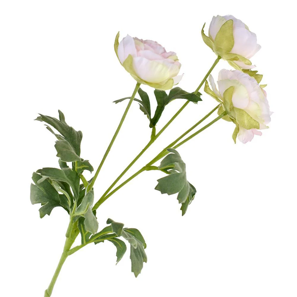 Blooming Silk Buttercup Ranunculus Spray, 27-Inch - Image 2