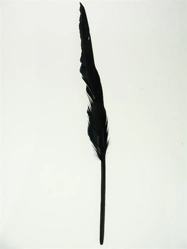 Duck Feather Decorative, 14-inch, 10-count - Image 2