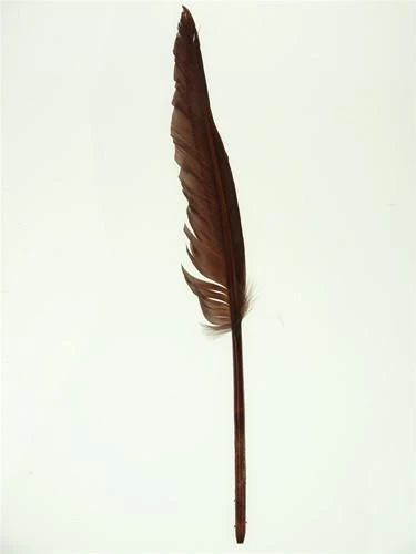 Duck Feather Decorative, 14-inch, 10-count - Image 3