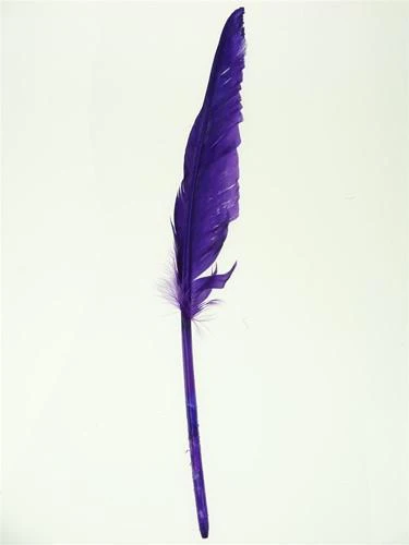 Duck Feather Decorative, 14-inch, 10-count - Image 8