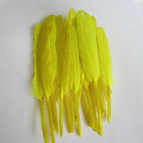 Duck Feather Decorative, 6-inch, 50-count - Image 11