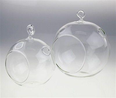 Clear Glass Terrarium Air Plant Candle Holder, With Loop - Image 6