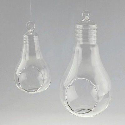 Clear Glass Terrarium Air Plant Candle Holder, With Loop - Image 8