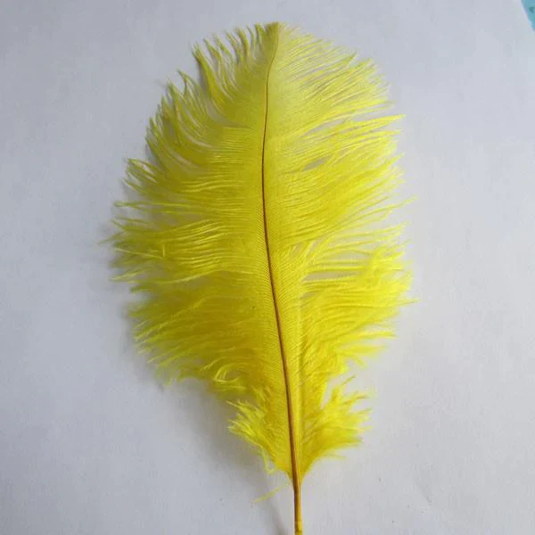 Ostrich Feather Decorative Centerpiece, 15-Inch, 1-Piece - Image 14