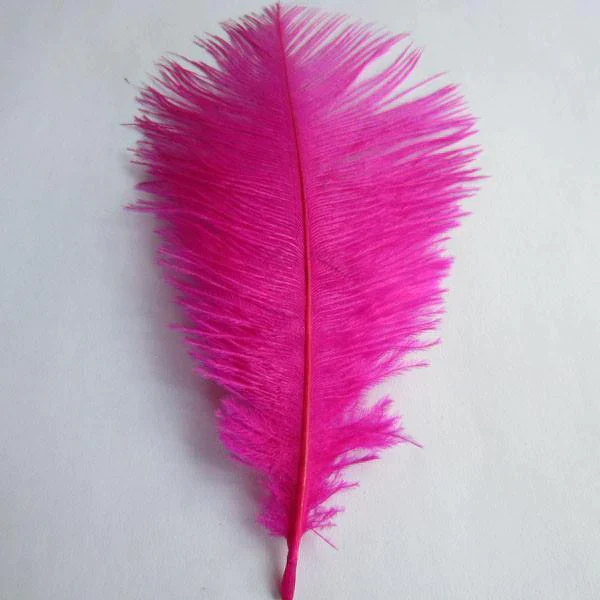 Ostrich Feather Decorative Centerpiece, 15-Inch, 1-Piece - Image 4