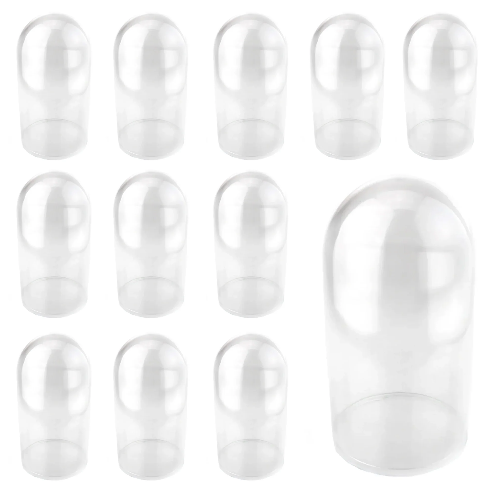 Plastic Dome Display Case, Clear Base - Image 23