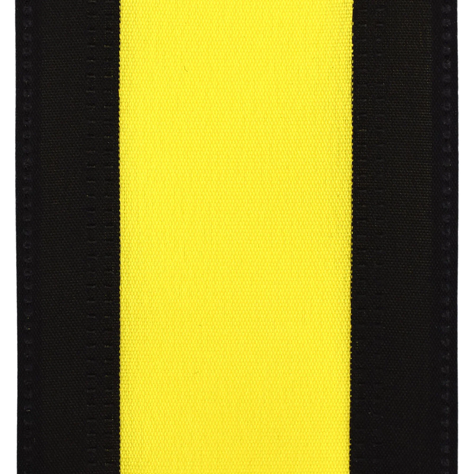 Stripe Sport Theme Ribbon Wired Edge, 2-1/2-inch, 10-yard - Image 16