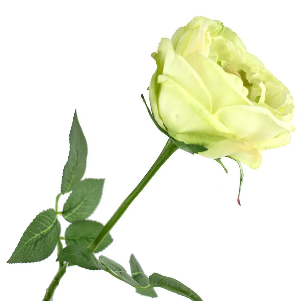 Tall Silk Cabbage Rose Stem, 27-Inch - Image 3